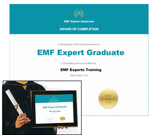 Diploma EMF Graduate