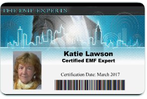 Katie Lawsen ID