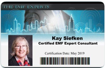 Kay Siefken ID
